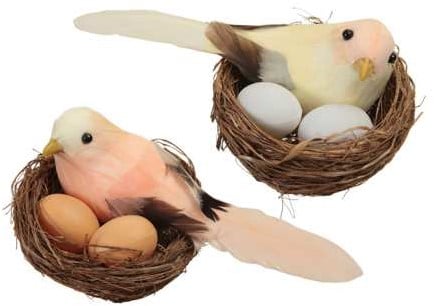 [A-025617] Vogelnestjes met 1 vogel en 2 eitjes Yellow Orange Zalm 7.5 cm doos 6 stuks