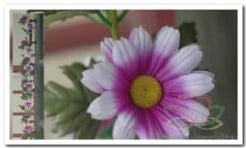 [A-005493] Gerbera Wit/Paars Zijdenbloemguirlande per stuk