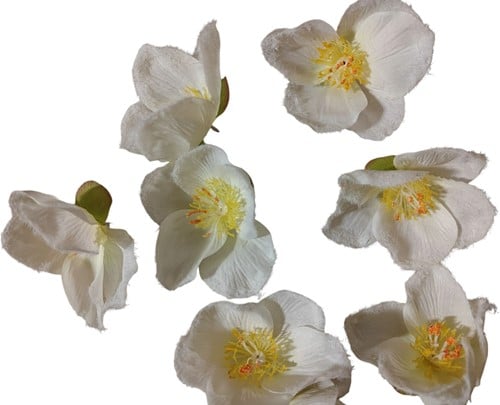 [A-005539] Bloemhoofd Zijdenbloem per stuk