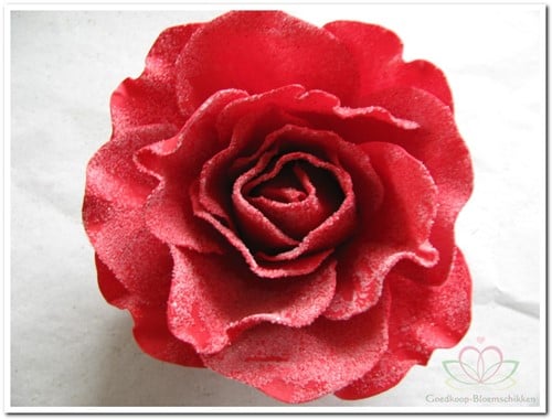 [A-008086] foam Rose Sophie 15cm snow rood / DOOS12 voordeelpak