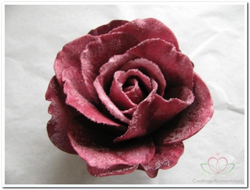 [A-008090] foam Rose Sophie 15cm snow Burgundy Doos12 voordeelpak