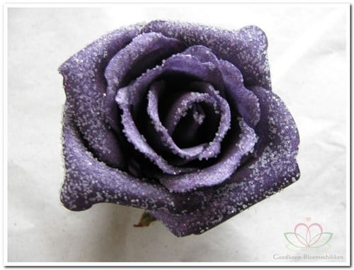 [A-008097] foam Rose Emilia 6cm snow Purple Doos 42 voordeelpak