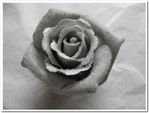 [A-008099] foam Rose Emilia 6cm snow Grey Doos 42 voordeelpak
