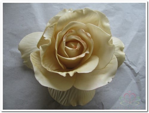 [A-008103] Foamroos Sofia Cava 14 cm Doos 12 stuks