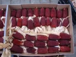 [A-008239] Aardbeienmaiskolfjes Tak Siermais Kunstbloem per stuk