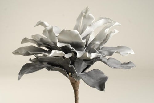 [A-008644] Echeveria Kort Foambloem 27 cm