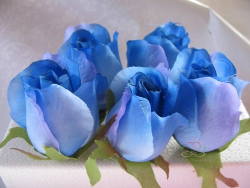 [A-009048] Zijden Roosjes Blauw 2Tone 5-6 cm 10 stuks
