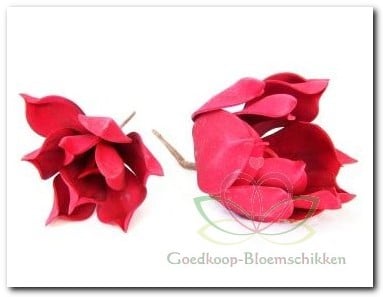 [A-009318] Magnolia Rood Foambloem Kort doos 12 stuks