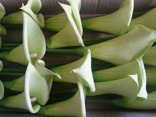 [A-009443] Calla Groen Foambloem ca. 9 cm