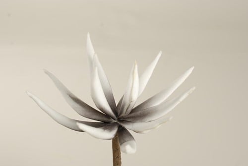 [A-009532] Cactus Flower Lichtgrijs Foam 16 cm 10 stuks