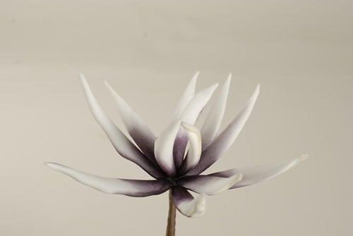 [A-009533] Cactus Flower Dark Purple Foam 16 cm 10 stuks