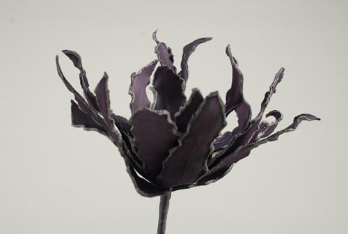 [A-009534] Cactus Ziggo Dark Purple Foam