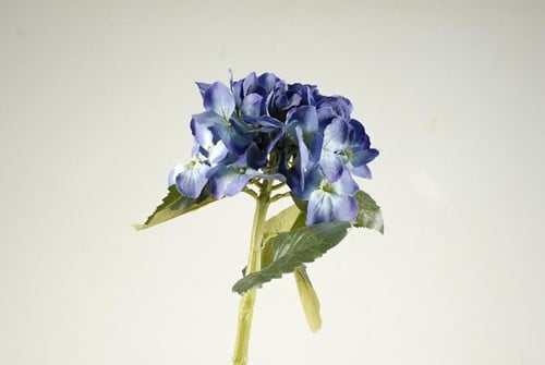 [A-009712] Hortensia Hydrangea Blauw VVD Zijdenbloem