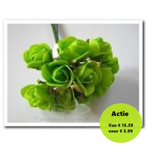 [A-009966] Mini Foam Roos Fris Groen 2 cm Doos 144 stuks
