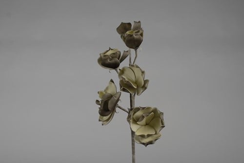 [A-010111] Magnolia Taupe Creme Foambloem Kort