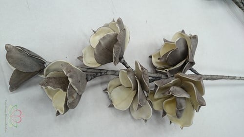 [A-010112] Magnolia Cool Grey Creme Foambloem Kort