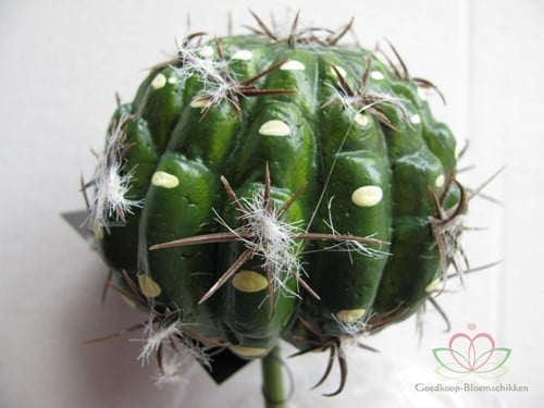 [A-010383] Cactus Small Ball Groen Latex Zijde per stuk