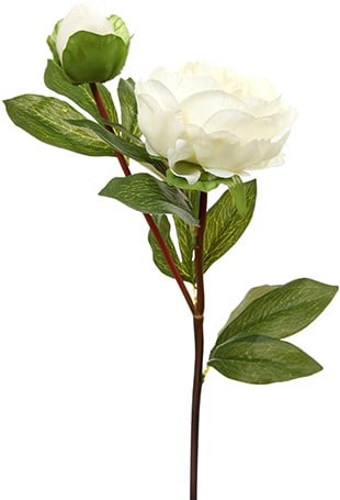 [A-013358] Grote Pioen Zijdenbloem White Tak 77 cm