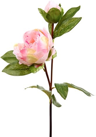 [A-013359] Grote Pioen Zijdenbloem Light Pink Tak 77 cm