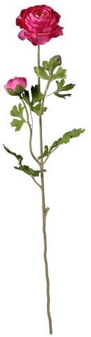 [A-013949] Grote Ranonkel Zijdenbloem Dark Pink Tak 70 cm