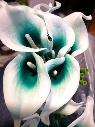 [A-014251] Calla Real Touch Wit Teal Center 7 cm 37 cm lang per stuk
