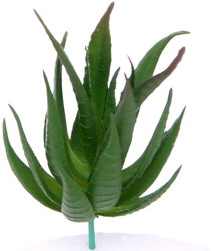 [A-015019] Latex Succulent Groen 12 cm per stuk