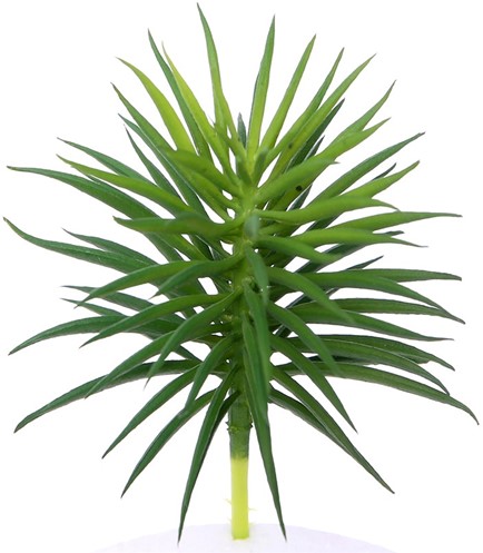 [A-015022] Latex Succulent 868685 Groen 12,5 cm per stuk