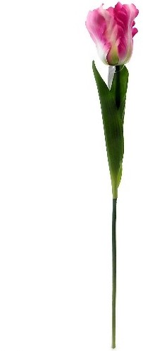 [A-015439] Parkiettulp Pink Zijden 56 cm per stuk