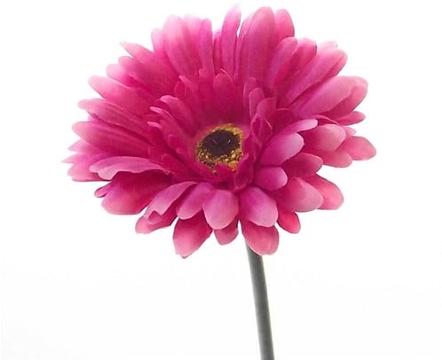 [A-015488] Gerbera Hot Pink Zijdenbloem 54 cm per stuk