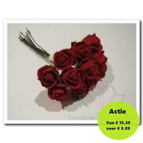 [A-015727] Mini Foam Roos Rood 2 cm Doos 144 stuks
