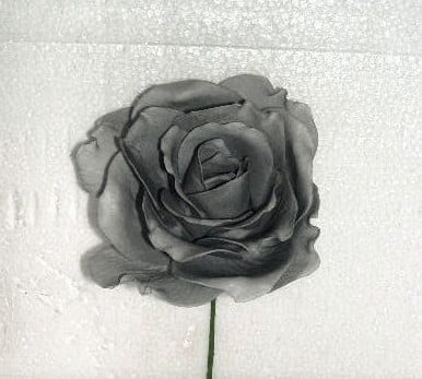 [A-015739] Foamroos Sophie Grey 15 cm Doos 12 stuks