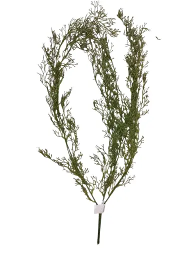 [A-015748] Bamboehanger Vertakt 85 cm per stuk