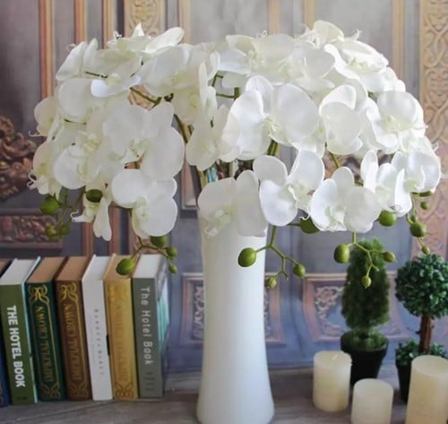 [A-015772] Phalaenopsis Orchidee Spray Ivory Zijden 77 cm