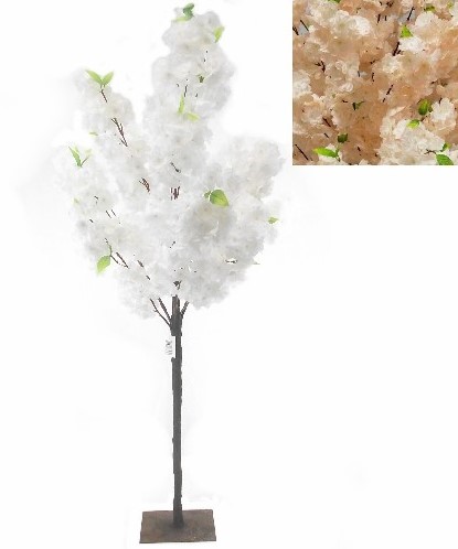 [A-016611] Bloesemboompje Champagne Zijdenbloem 150 cm 