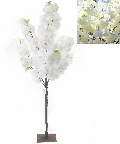 [A-016614] Bloesemboompje Ivory Zijdenbloem 120 cm 