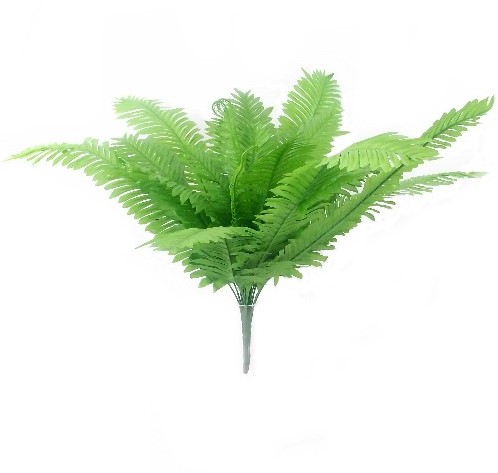 [A-017395] Varen Boston Fern Bush Groen Botanical Style 53 cm