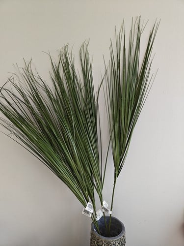 [A-020010] Leuke Berengras toef op draad ca. 88cm Berengras toef