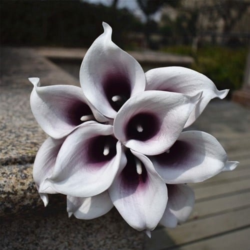 [A-022538] Calla Real Touch Plum Center 7 cm 37 cm lang per stuk