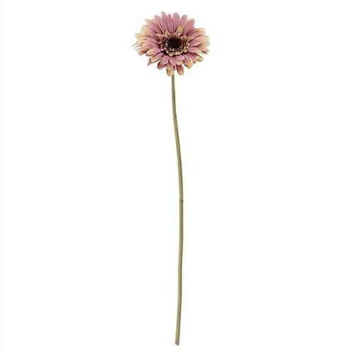 [A-023773] Gerbera Dry Colour Old Pink Zijden 53 cm per stuk