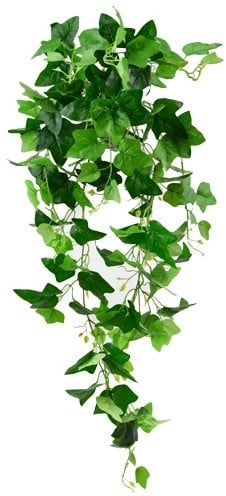 [A-024125] Hanger vuller Hedera Groene bladeren Groene hangplanten