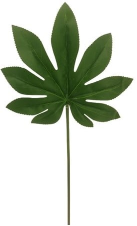 [A-024563] Araliablad 55cm groen pak van ca. 6st 