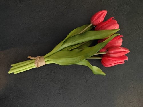 [A-027395] Tulpen Real Touch Rood Luxe Siliconen Latex Bundel 5 stuks