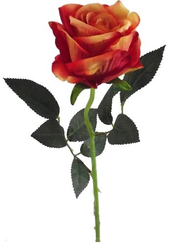 [A-019182] Roos Zijden Open Velvet Oranje 52 cm per stuk 