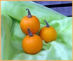 [A-018159] Ball Orange kalebas basiseenheid