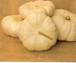 [A-000423] Flat White Boer pompoen 1000 zaden