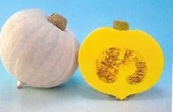 [A-018049] Lyric F1 Pompoen basiseenheid zaden