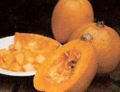 [A-002147] Melonette Jaspee de vendee pompoen 250 zaden