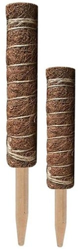 [A-022375] Mosstok Kokosstok Planten totems Set 50 + 30 cm Opbinden van planten