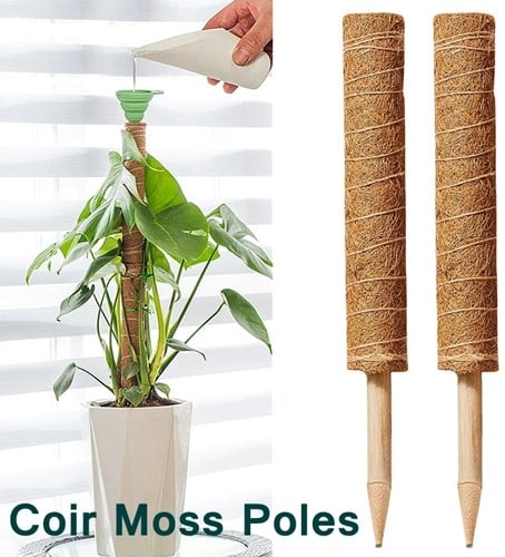 [A-024104] Mosstok Kokosstok planten totem 50 cm per stuk