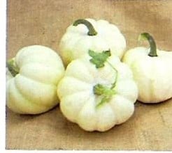 [A-022753-2] White Cloud F1 Acorn pompoen zaden